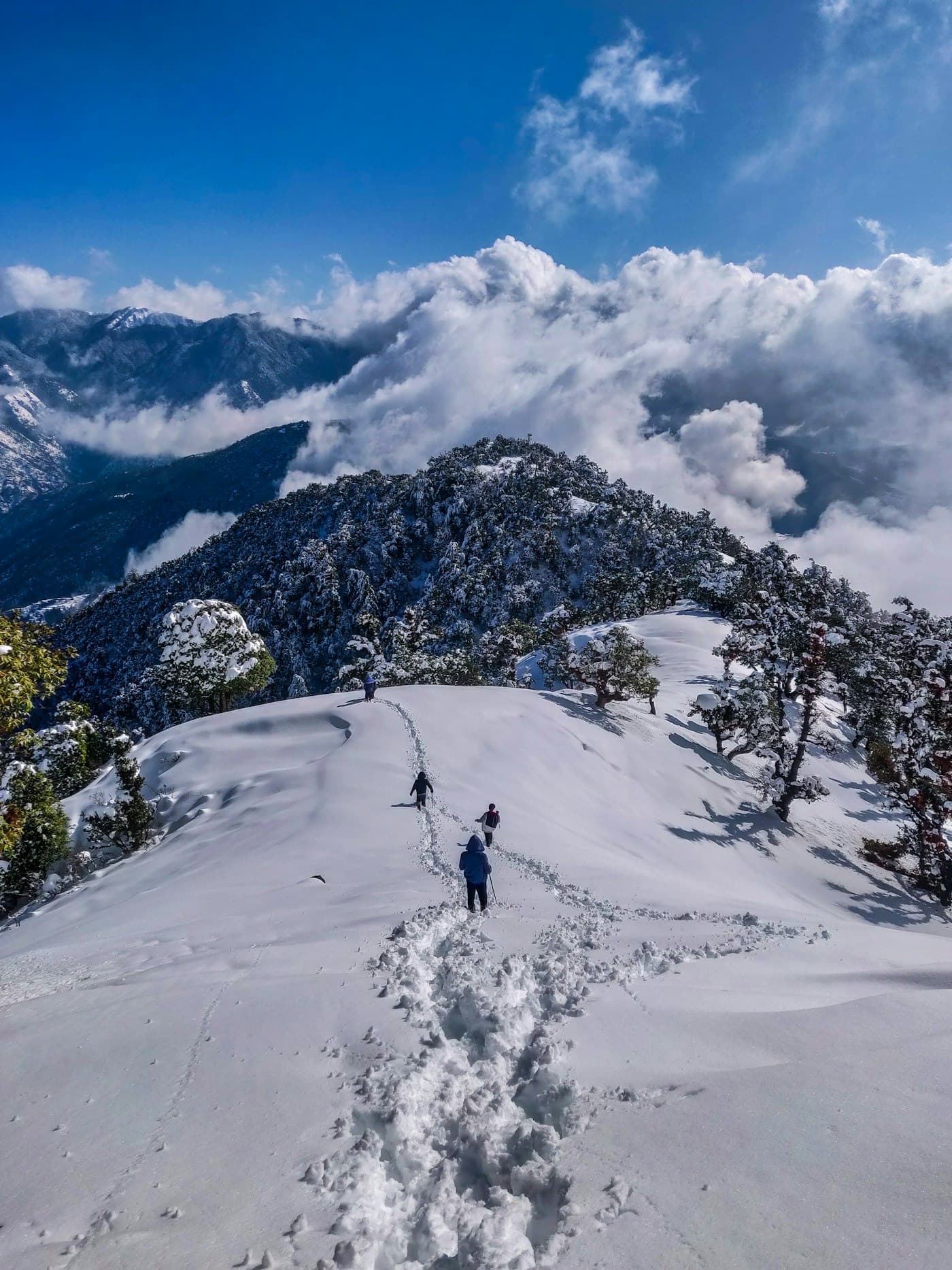 Valley of Flowers trek, Uttarakhand